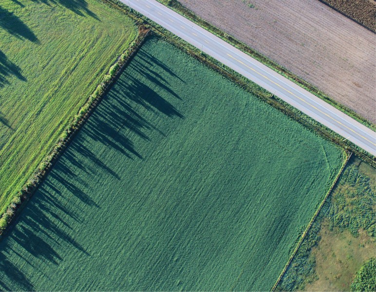 buying land to build